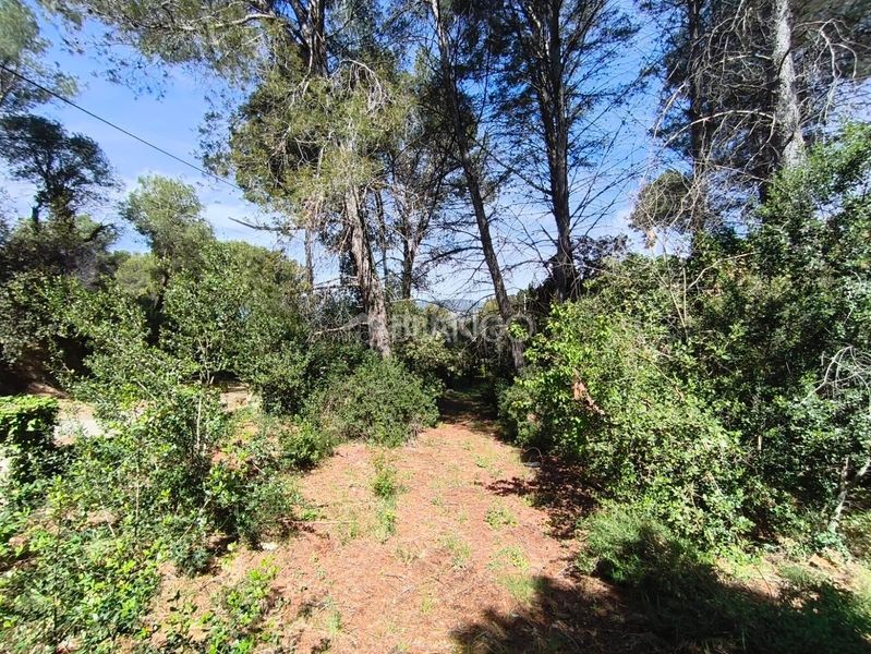Foto c31e8707-3fce-452a-acc3-c7ccc245946a. Casa amb aparcament a Piera