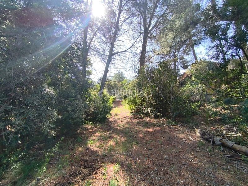 Foto cb97a2f5-8c63-41df-85b7-0a5ad7188a7b. Casa amb aparcament a Piera