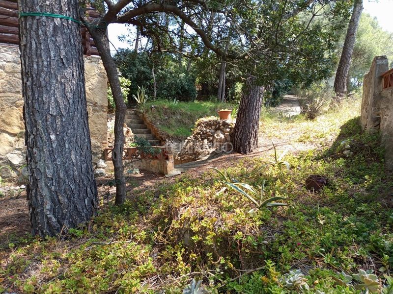 Foto a7a295bf-2d3a-463c-a838-cf70f57db4e7. Casa amb aparcament a Piera