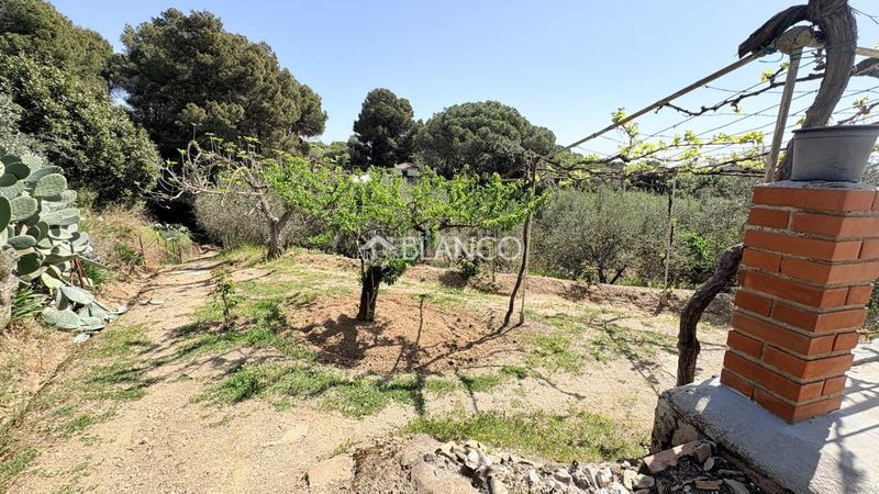 Foto 2716d7c1-3888-4be8-9264-c724654bbb1e. Casa amb aparcament a Piera