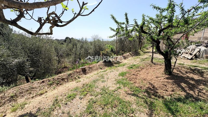 Foto a417483c-361e-4de6-97cc-551bde5b1137. Casa amb aparcament a Piera