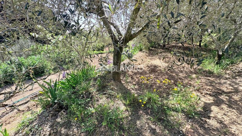 Foto bb78c116-4742-4526-bbe1-dcdfcd3be6f2. Casa amb aparcament a Piera