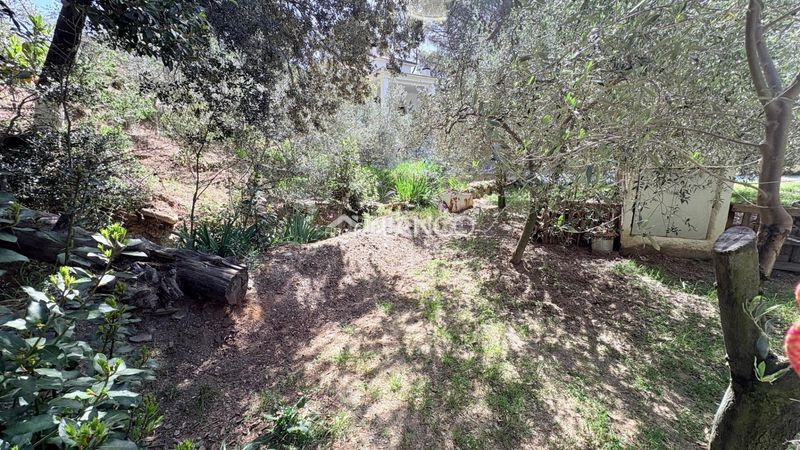 Foto db691205-218d-4a1d-b9ba-ad1f0a2b6bd4. Casa amb aparcament a Piera