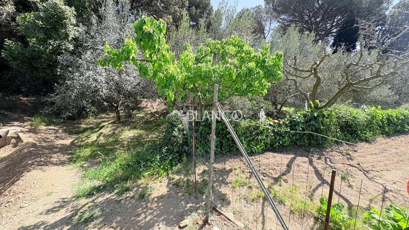 Foto ea081208-8a80-4091-b27b-534c04fcb7fb. Casa amb aparcament a Piera