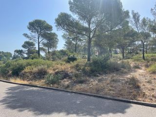 Residential Plot in Mediona