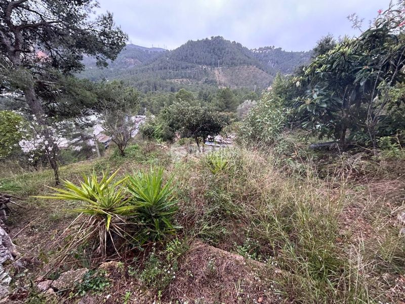 Foto ba8a638f-7f85-4479-aa0d-958c05a0ec94. Casa a Vallirana
