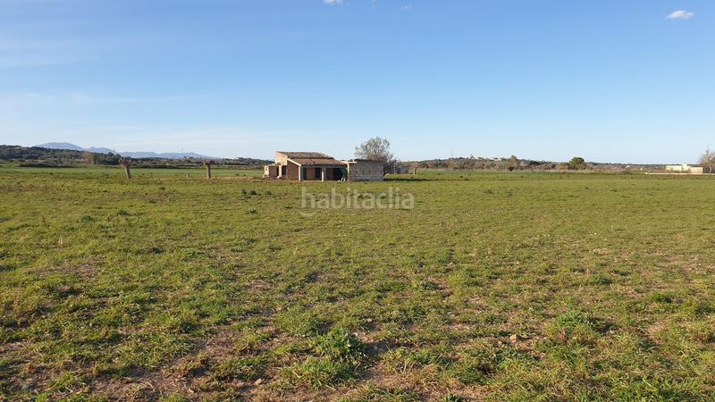 Foto 1d55ee29-917a-4ae3-b969-b469fd8af811. Terreno residencial finca de 20.962 m2 para construir vivienda, con pozo de agua en Petra
