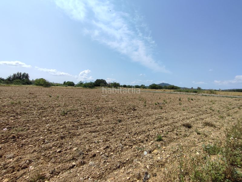Foto 2ea5c7a0-c9dc-40da-9936-ba460a185695. Terreno residencial finca de 20.962 m2 para construir vivienda, con pozo de agua en Petra
