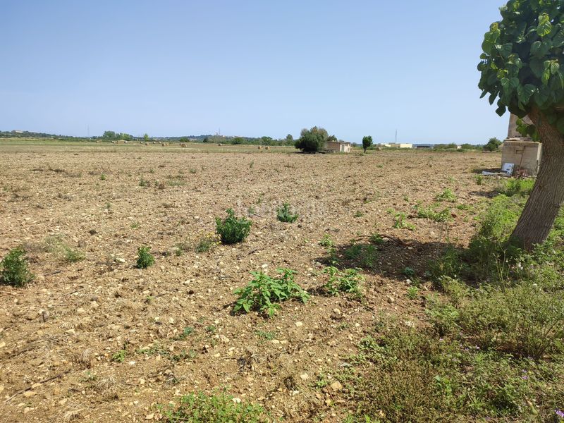 Foto 3deb95cf-2911-468c-b89b-b0c625b26ac7. Terreno residencial finca de 20.962 m2 para construir vivienda, con pozo de agua en Petra