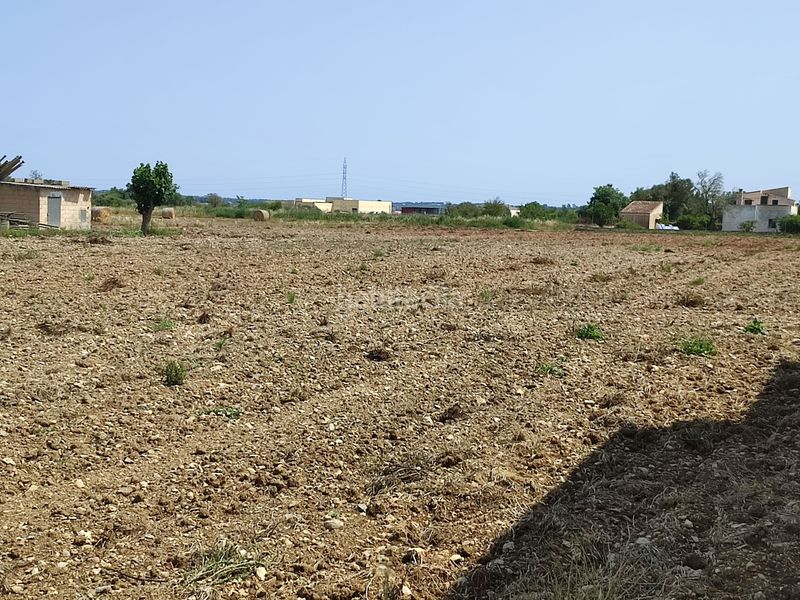 Foto 8c7ff7a7-7d56-4f6e-8833-ae45035102c1. Terreno residencial finca de 20.962 m2 para construir vivienda, con pozo de agua en Petra