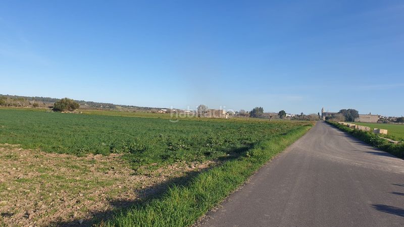 Foto a3a37bde-55cc-4879-af93-1156dd2c8d74. Terreno residencial finca de 20.962 m2 para construir vivienda, con pozo de agua en Petra