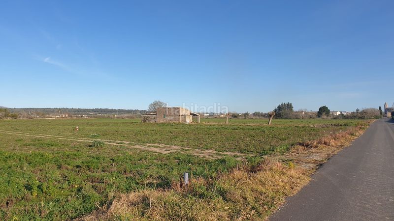 Foto b93b861b-dffb-476e-8f65-3cbbed7bfe5c. Terreno residencial finca de 20.962 m2 para construir vivienda, con pozo de agua en Petra