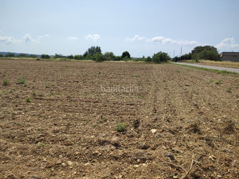 Foto bb88bce3-96a9-42f0-91c3-c5f606da39ed. Terreno residencial finca de 20.962 m2 para construir vivienda, con pozo de agua en Petra