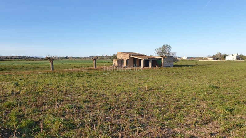 Foto e21016c1-2b87-4c37-9b85-6cb3b95429ad. Terreno residencial finca de 20.962 m2 para construir vivienda, con pozo de agua en Petra