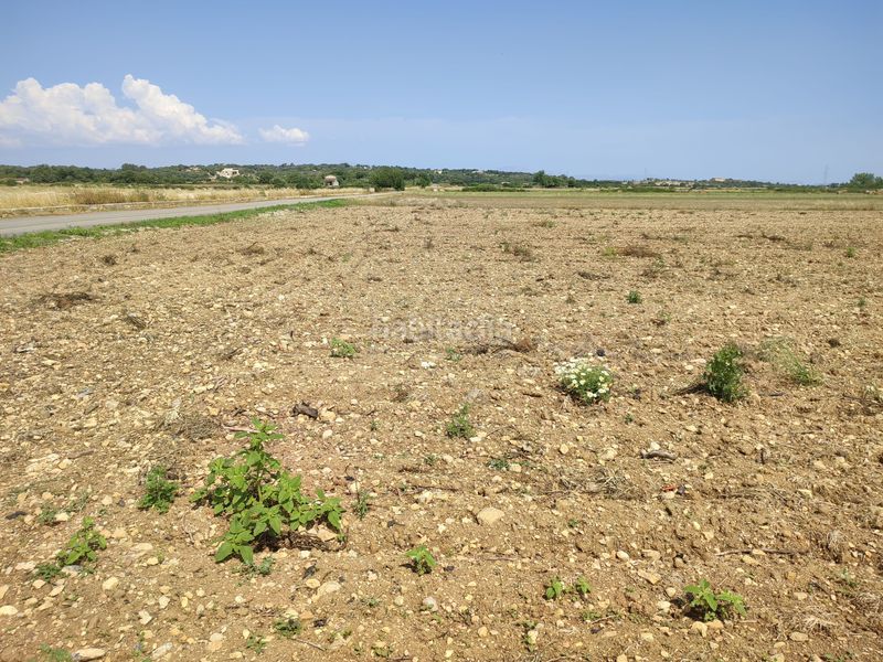 Foto e632054f-1aee-4b0f-a963-28ddc1151013. Terreno residencial finca de 20.962 m2 para construir vivienda, con pozo de agua en Petra