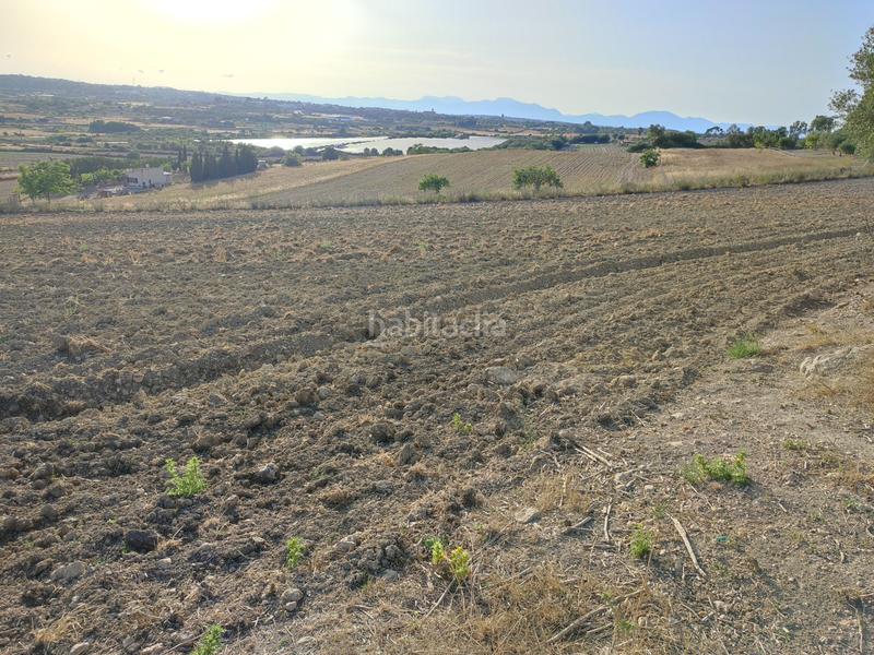 Foto 6f89618c-d881-4cf7-b094-8f1572286883. Terreny residencial a carrer de ciutat 21a a Petra