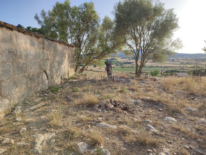 Foto b44a8d93-0109-475a-8898-058b88afff4c. Terreny residencial a carrer de ciutat 21a a Petra