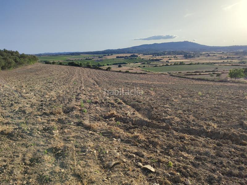 Foto f392e57a-276d-4926-aa81-1c1476bd81fa. Terreny residencial a carrer de ciutat 21a a Petra