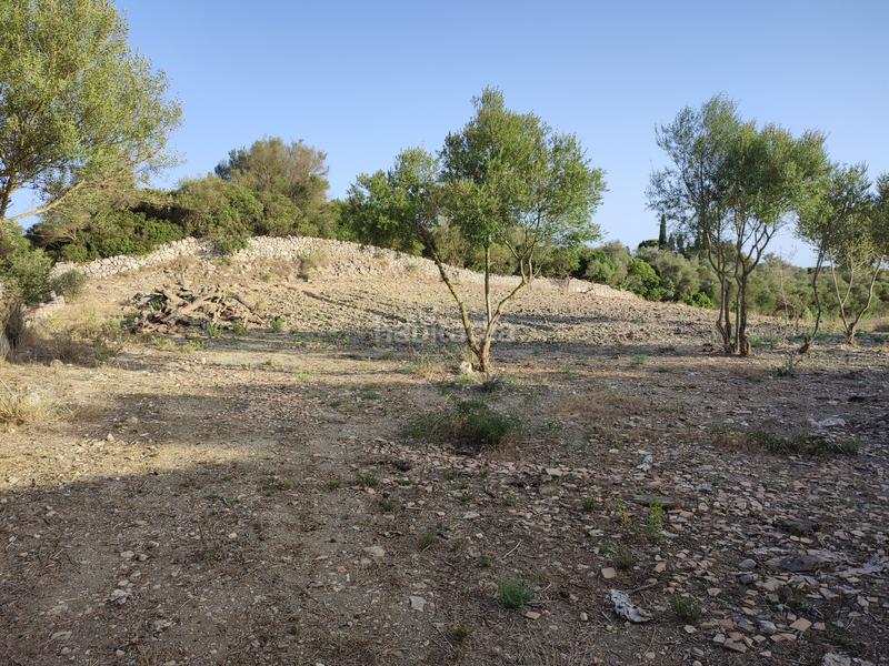 Foto fafc3e56-fc80-4119-9051-142cecc6afef. Terreny residencial a carrer de ciutat 21a a Petra