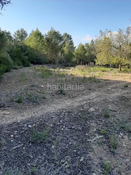 Foto 087c0902-b56f-4a1a-bd9d-a3a79d03be22. Landgut in Sant Joan