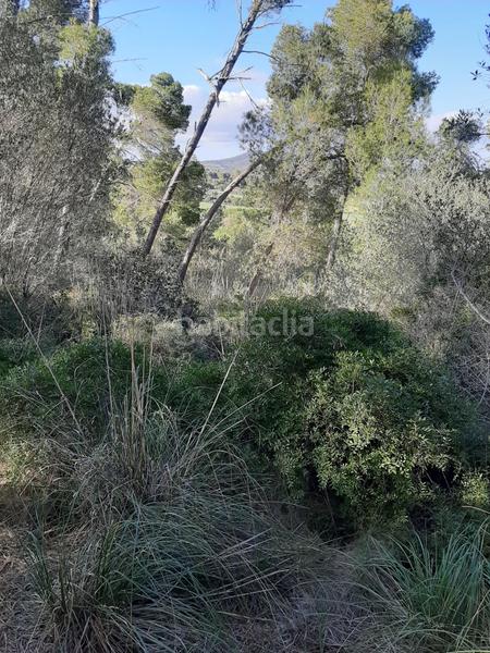 Foto 091c3a13-045b-42cb-873d-c4e43b0c3ba4. Landgut in Sant Joan