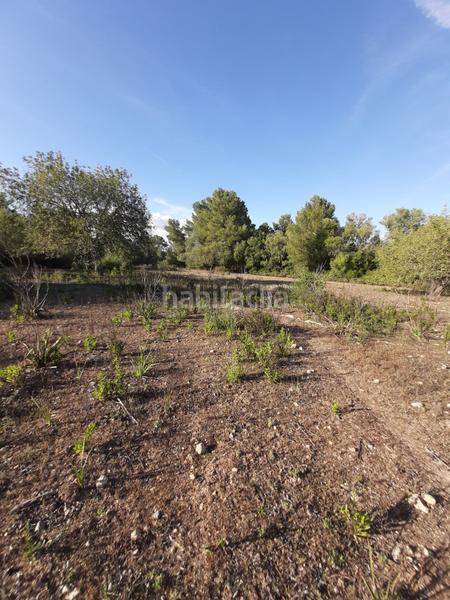 Foto 13030100-1b07-4eac-b647-a06ae9f0145e. Landgut in Sant Joan