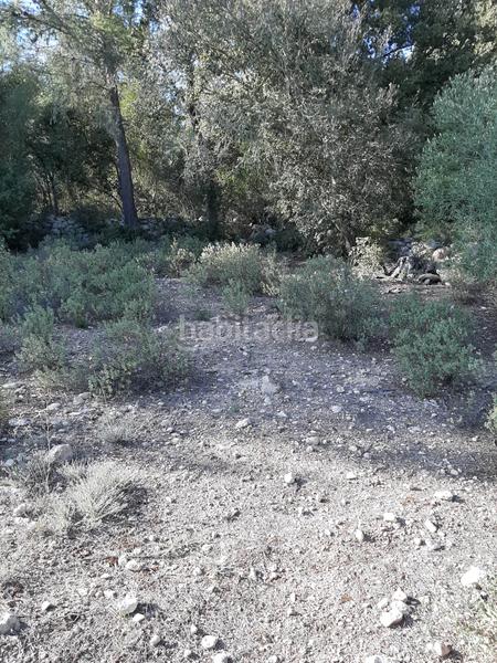 Foto 2aa61636-64f1-4718-8200-c3c966cc1491. Landgut in Sant Joan