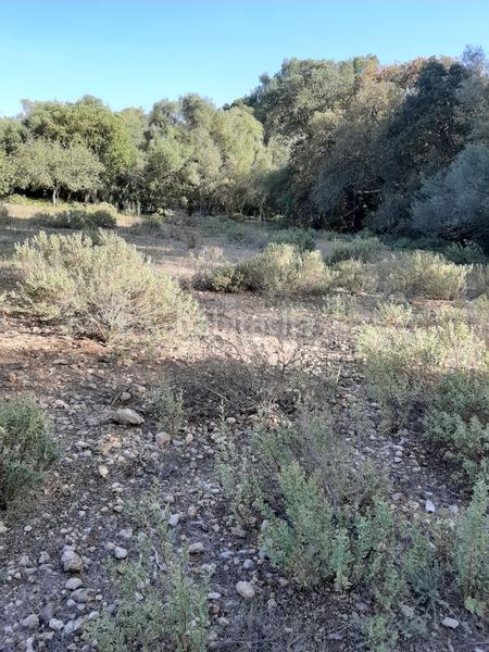 Foto 2c12e527-66dc-43c9-b486-fe315d268cd9. Landgut in Sant Joan