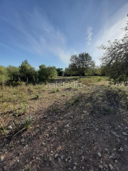 Foto 36446d4c-b9d9-4454-81c4-1c01f92040eb. Landgut in Sant Joan