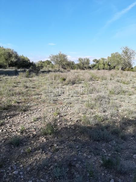 Foto 4b1ec744-465b-4840-8aa5-e95187bd97cd. Landgut in Sant Joan