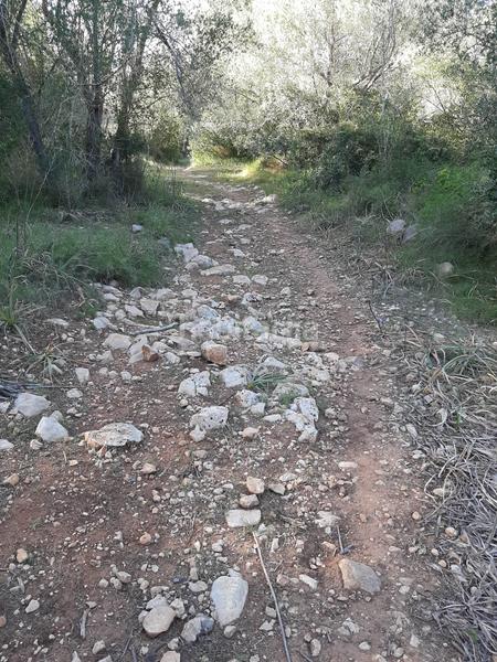 Foto 71bfe579-e926-4880-8383-358681a00fcc. Landgut in Sant Joan