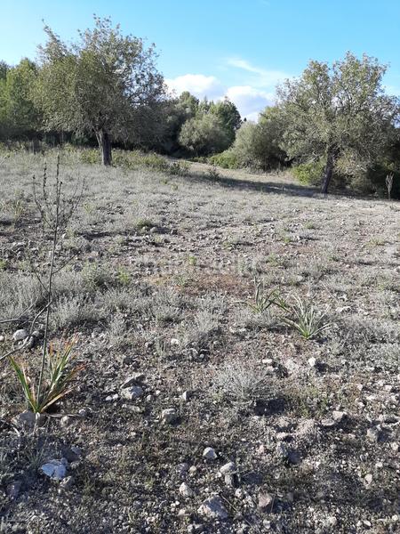 Foto 75d7188e-41c4-4264-8b28-9788ba8f6f8c. Landgut in Sant Joan