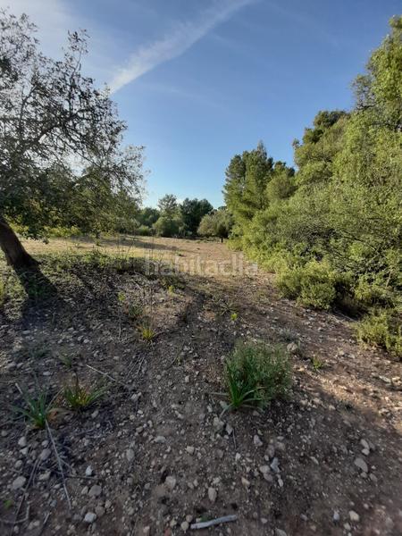 Foto a58b140d-0795-474e-8406-66159c3e9993. Landgut in Sant Joan