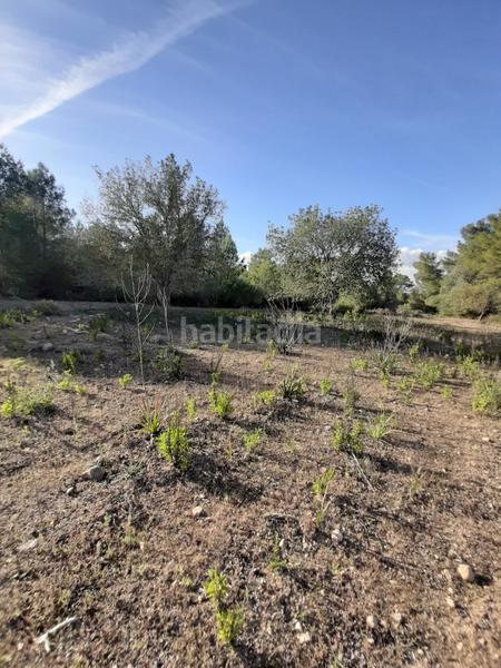 Foto b6debfcb-bfb8-494b-b8b8-6dac842f5c80. Landgut in Sant Joan