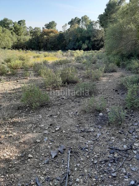 Foto d3a9a09f-c8b4-4d2f-a049-b3af3d4e7ff3. Landgut in Sant Joan