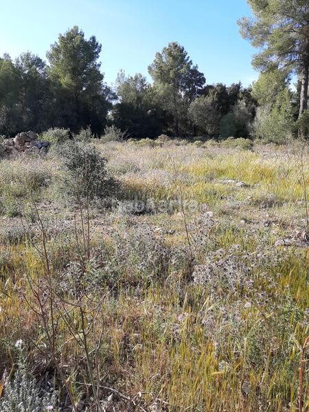 Foto e398bd66-e23e-4ef8-b249-3a8807c05032. Landgut in Sant Joan