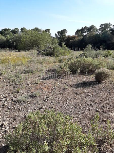 Foto f04c563b-54fb-4c9a-b4e2-6ad1a4c054a8. Landgut in Sant Joan