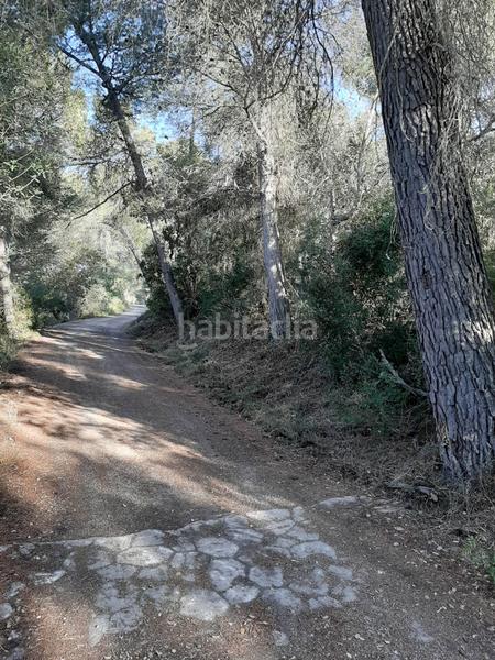 Foto f12b7aa7-7f59-4196-8a10-3bfadc072a6c. Landgut in Sant Joan