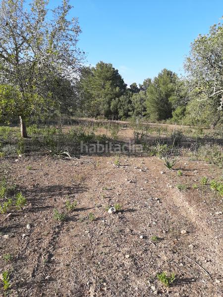 Foto f2e42c9c-339c-4dc5-ba9c-3c340af90470. Landgut in Sant Joan