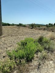 Rural plot in Vilafranca de Bonany. Finca agrícola de 2571 m2 con pozo de agua