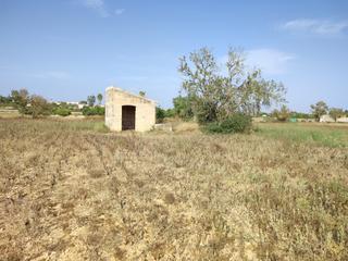 Rural plot in Vial camino 810. Finca de 4274 m2 con caseta agrícola de 15 m2 y pozo de agua
