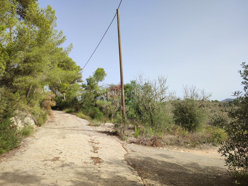 Foto 0be2cc83-4966-45a6-92f1-9c9ae04d87b5. Terreny residencial a Sant Joan