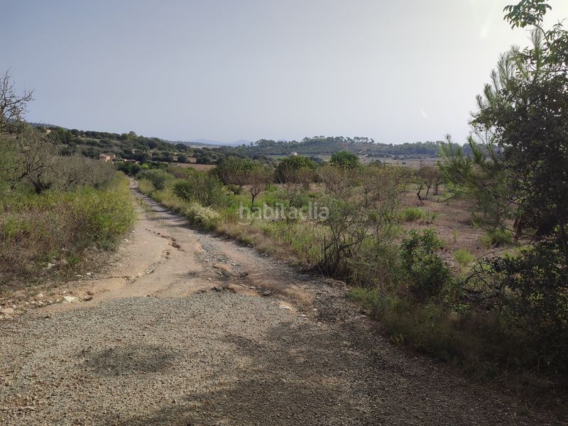Foto 1cabfeec-5822-40ad-a087-4a3c2b0b8bc3. Terreny residencial a Sant Joan