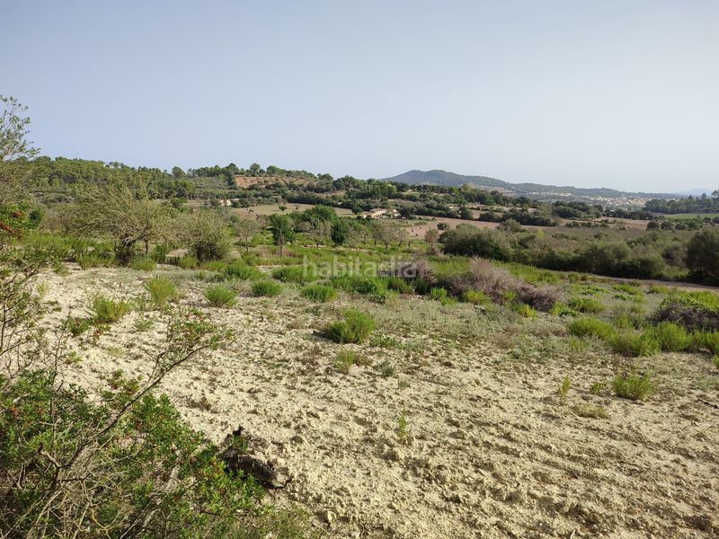 Foto 5086bceb-4141-4f25-9006-356bd8732f45. Terreny residencial a Sant Joan