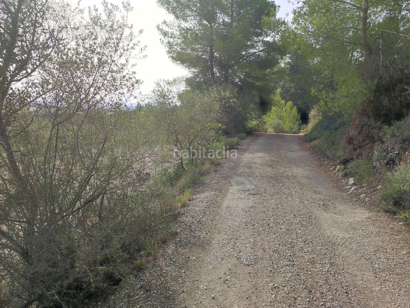 Foto 6ae50fb7-d6ec-4d87-b195-d1f7af672ba5. Terreny residencial a Sant Joan