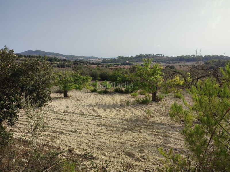 Foto a1b573c5-6030-4113-b903-7b0827659949. Terreny residencial a Sant Joan