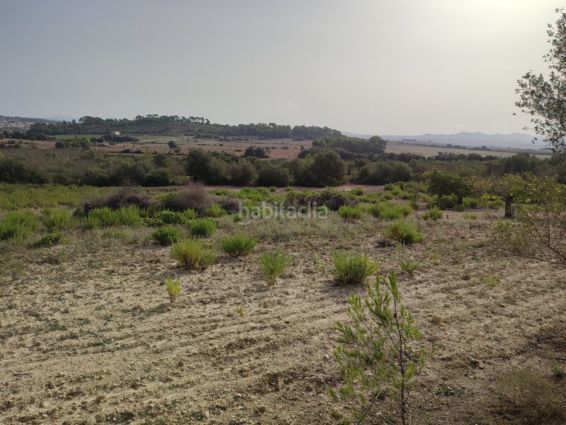 Foto a66d64ed-b238-4082-8bbe-22f5d3852d9a. Terreny residencial a Sant Joan