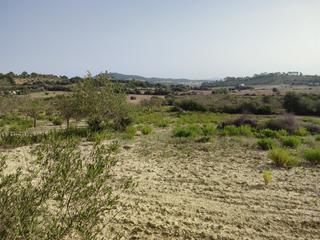 Residential Plot in Sant Joan. Finca edificable de 19.017 m2 en zona muy tranquila