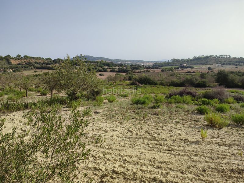 Foto b504fc8f-0464-4325-be4a-ad25375b7994. Terreny residencial a Sant Joan