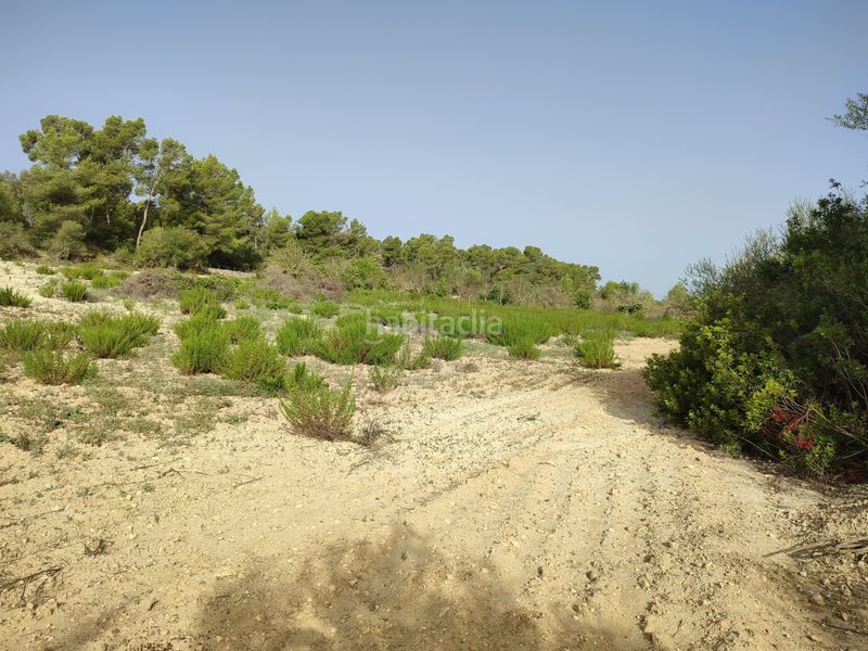 Foto c7e32940-a223-405c-80b2-20507d21de2a. Terreny residencial a Sant Joan
